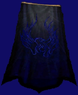 File:Guild Elite Power Force cape.jpg