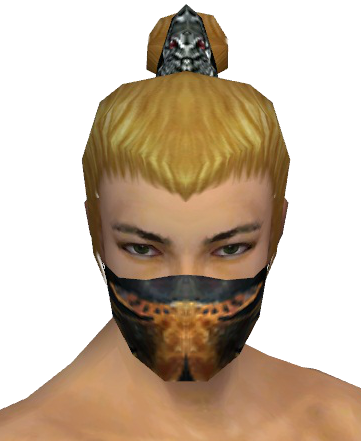 File:Assassin Elite Exotic Mask m gray front.png