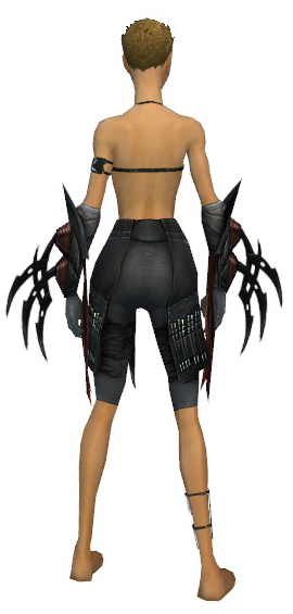 File:Assassin Ancient armor f gray back arms legs.png