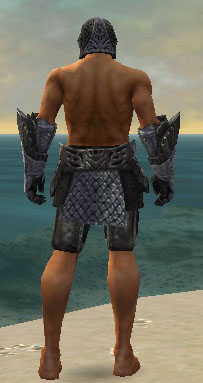 Warrior Elite Platemail armor m gray back arms legs.jpg