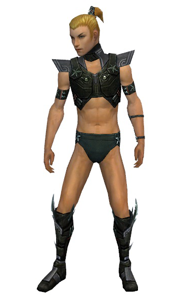 File:Assassin Luxon armor m gray front chest feet.png