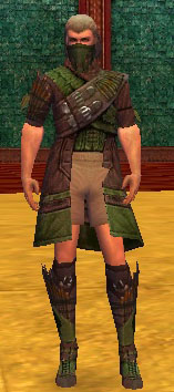 File:Ranger Elite Druid armor m gray front chest feet.jpg