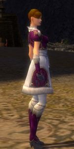 File:Elementalist Norn armor f dyed right.jpg