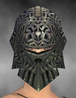 File:Warrior Elite Platemail armor f gray front head.jpg