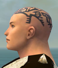 File:Monk Elite Sunspear armor m gray left head.jpg