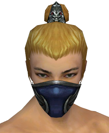 File:Assassin Norn Mask m gray front.png