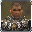 Guild Soldiers of Thunderstorm Friend.png