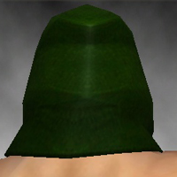 File:Shining Blade Cowl costume m green back head.jpg