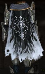 File:Guild Acolyte Of The Spear cape.jpg