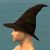 File:Wicked Hat m profile.jpg