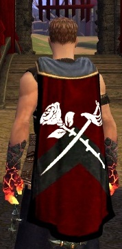 File:Guild Guile Of The Unbound Templars cape.jpg