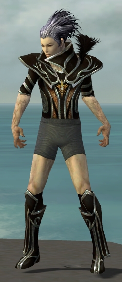 File:Necromancer Elite Sunspear armor m gray front chest feet.jpg