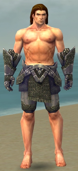File:Warrior Platemail armor m gray front arms legs.jpg