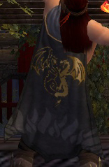 File:Guild Clarity Of The Revelations cape.jpg
