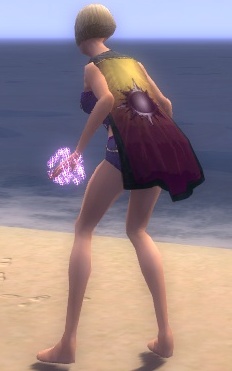 File:Guild Mesmers Are The Bestmers cape.jpg