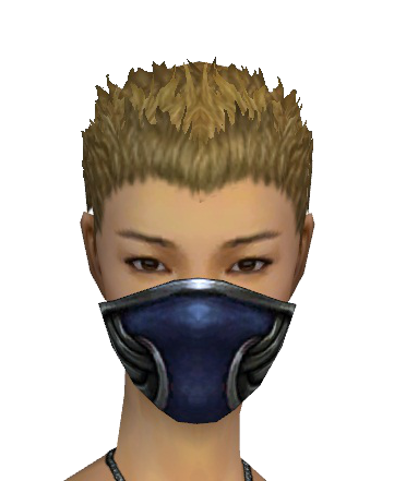 File:Assassin Norn Mask f gray front.png