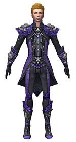 Guild Wars Elementalist Armor on Of Male Elementalist Elite Stoneforged Armor   Guild Wars Wiki  Gww