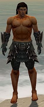 Warrior Elite Dragon armor m gray front arms legs.jpg