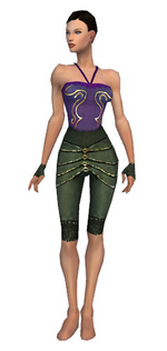Mesmer Elite Luxon armor f gray front arms legs.png