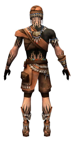 File:Ritualist Luxon armor m dyed back.jpg