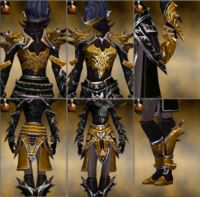 Screenshot Necromancer Asuran armor f dyed Orange.jpg