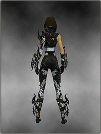 Assassin Elite Kurzick armor f white back.jpg