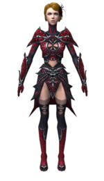 Necromancer Elite Necrotic armor f dyed front.jpg