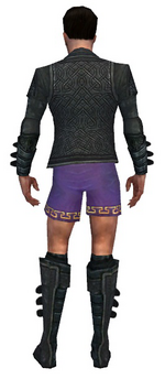 Mesmer Elite Rogue armor m gray back chest feet.png