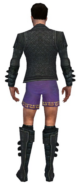 File:Mesmer Elite Rogue armor m gray back chest feet.png