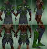 Necromancer Elite Necrotic armor m green overview.jpg