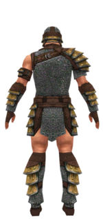 Warrior Krytan armor m dyed back.jpg