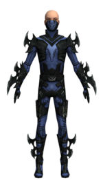 Assassin Kurzick armor m dyed front.jpg