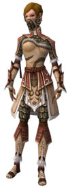 Guild Wars Ranger Armor on Ranger Elite Canthan Armor   Guild Wars Wiki  Gww