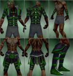 Necromancer Elite Cabal armor m green overview.jpg