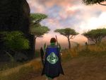 Guild Order Of The Sentinels cape.jpg
