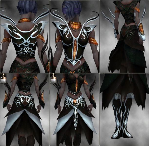 File:Screenshot Necromancer Vabbian armor f dyed White.jpg