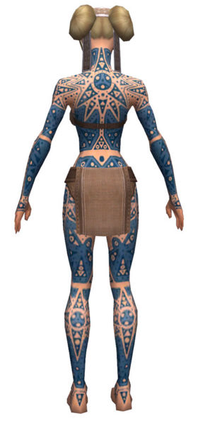 File:Monk Star armor f dyed back.jpg