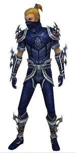 Assassin Norn armor m dyed front.png