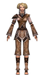 Monk Canthan armor f dyed front.jpg