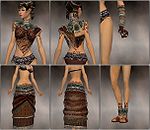 Ritualist Elite Exotic armor f brown overview.jpg