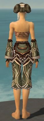 Monk Canthan armor f gray back arms legs.jpg