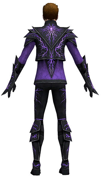File:Elementalist Elite Stormforged armor m dyed back.jpg
