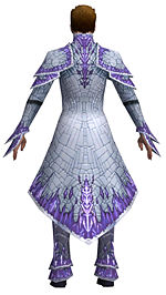Elementalist Elite Iceforged armor m dyed back.jpg
