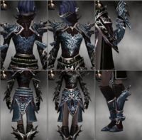 Screenshot Necromancer Asuran armor f dyed Grey.jpg