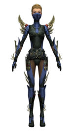 Assassin Elite Imperial armor f dyed front.jpg