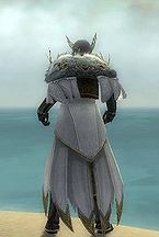 Dwayna's Regalia costume m gray back.jpg