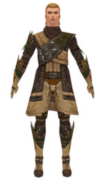 Ranger Elite Druid armor m dyed front.jpg