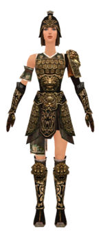Warrior Canthan armor f dyed front.jpg