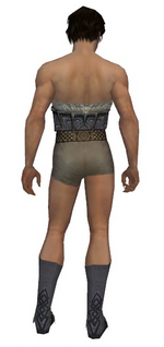 Dervish Norn armor m gray back chest feet.png
