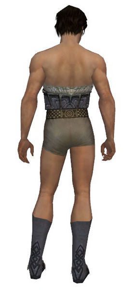 File:Dervish Norn armor m gray back chest feet.png